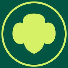 Team Page: Troop 54228